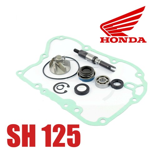 Kit revisione pompa acqua - kit,