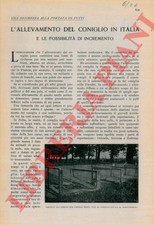 MATTIROLO O. - I licheni e la