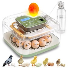 Incubadora de Huevos