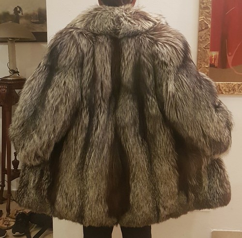 Pelliccia volpe argentata - volpe,