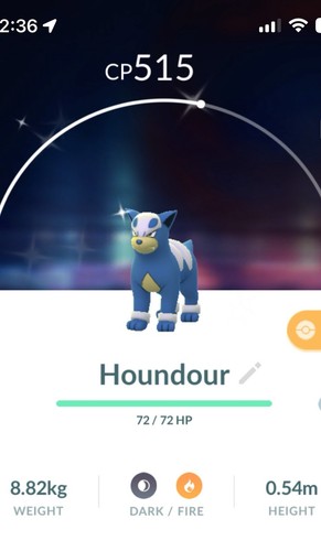 Shiny houndour pokemon gen2 - houndour,