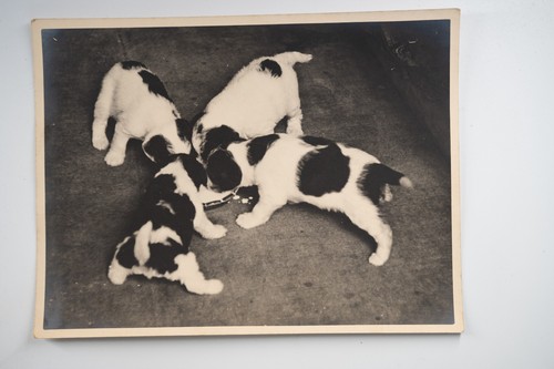 Photo silver france - photo,