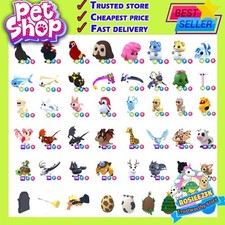 Preferiti giocatore gioco - preferiti,