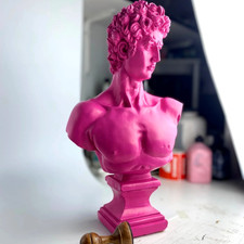 Scultura David di Michelangelo