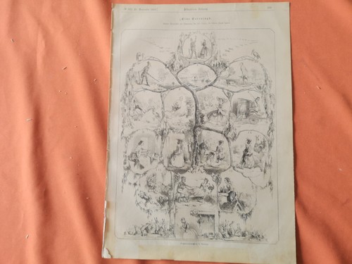 Stampa giornale 1861n - stampa,