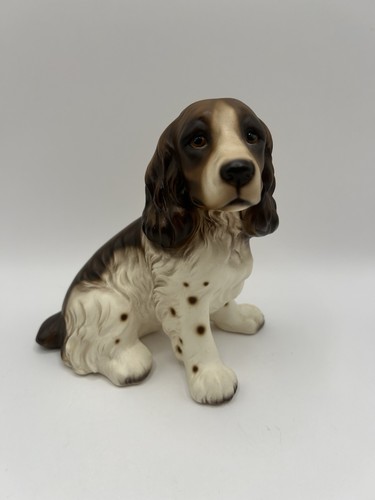 Statuina cane springer - statuina, spaniel