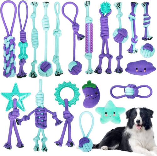 Set giochi per cani - cani,