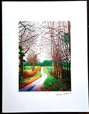 David Hockney - - 65x50 cm