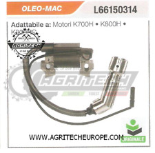 L66150314 BOBINA ELETTRONICA