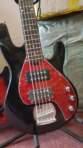 Basso berkeley olp mm2 - olp,