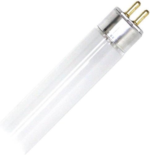 Basic short 13 w - t5, g5