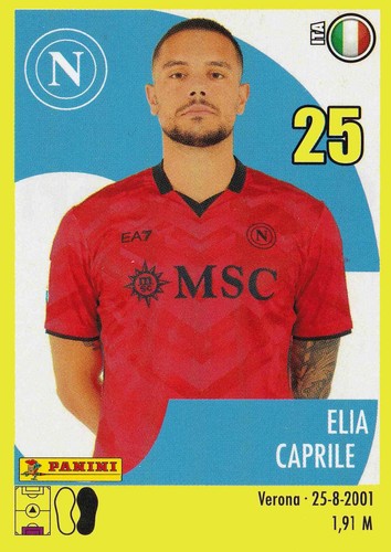 Panini calciatori 2024 - calciatori, 2024-2025