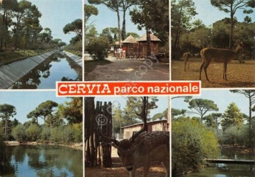 Cartolina cervia parco - cartolina,