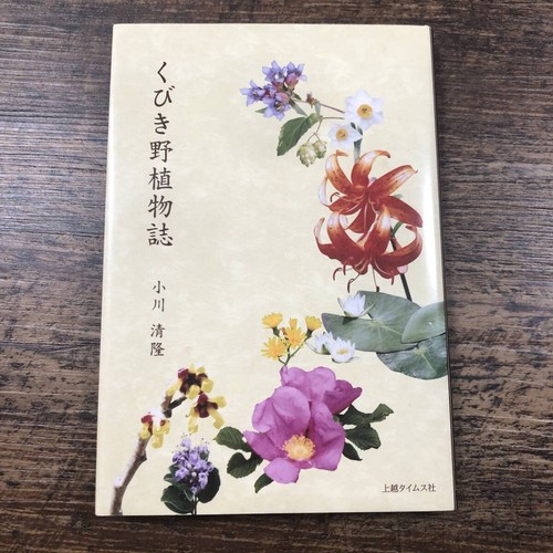 J10431 kubi field - field, journal