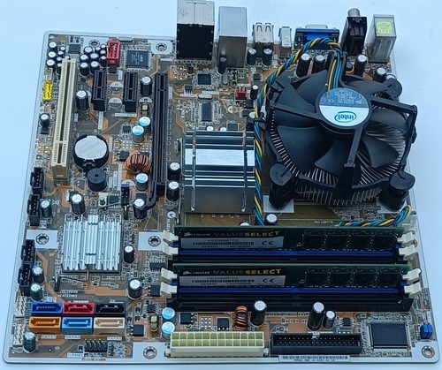 Scheda madre asus - scheda, hp