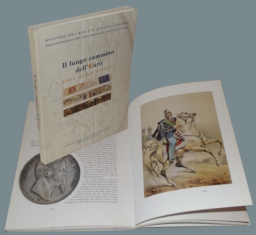 Lungo cammino dell - il, dell'euro