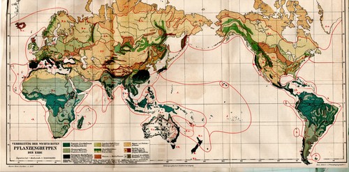 Antica mappa 1893 - antica,
