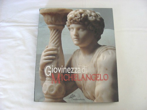 Giovinezza michelangelo - giovinezza,