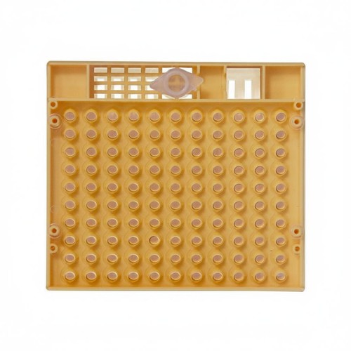 Kit allevamento api regine - kit,
