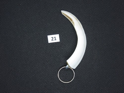 Wild boar tusk pendant - , (no