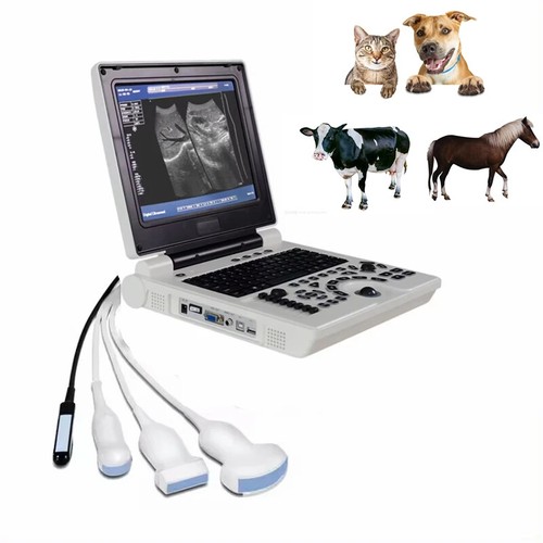 Scanner ultrasuoni veterinario