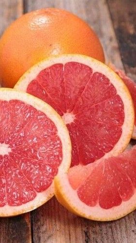 Pianta pompelmo rosa citrus - pianta,