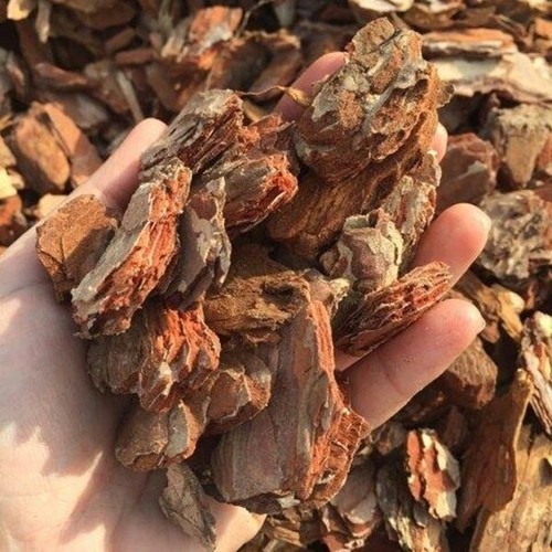 Corteccia rossa pino - rossa, 3