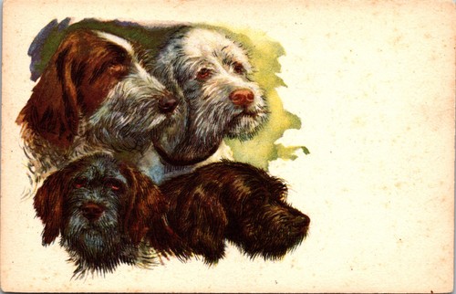 Cartolina arte italiana cani - d'arte,