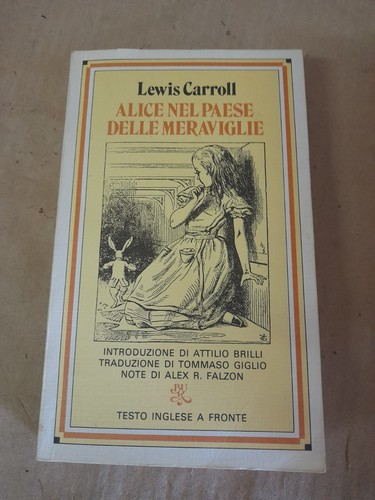 Alice nel paese delle - nel,