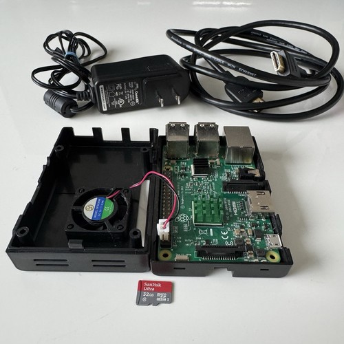 Raspberry model v1 - raspberry, pi