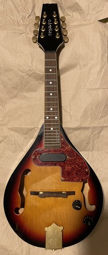 Mandolino elettroacustico - ,