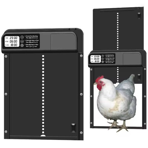 Pollaio automatico elettrico - pollaio,