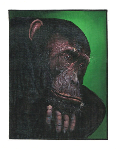 Dipinto mano scimmia arte - dipinto, di
