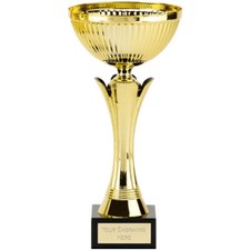 Tazza presentazione oro - , 3