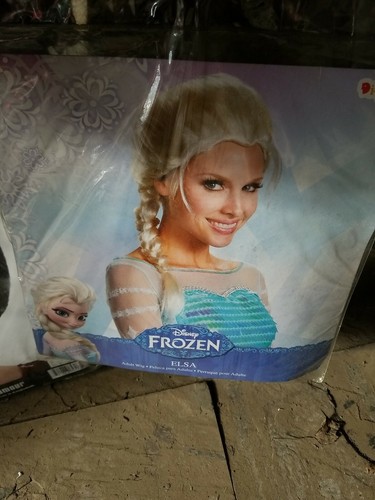 Frozen due elsa - 2,