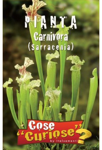 Semi seeds pianta carnivora - /,