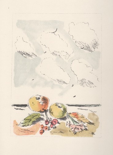 Filippo pisis natura - filippo,