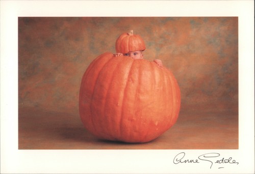 Babies anne geddes - babies,
