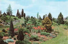 Postcard Gotelli Collection