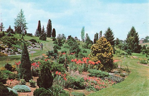 Cartolina collezione gotelli - collezione,