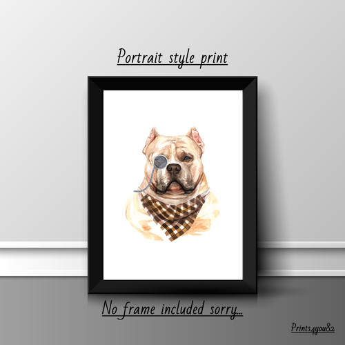 American bully dog - bully, pet