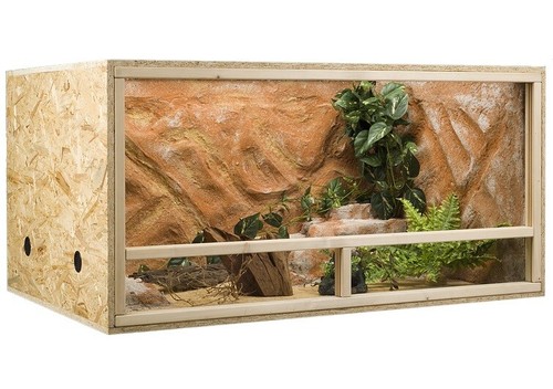 Osb terrario in - terrario,,