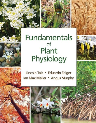 Fundamentals plant - fundamentals, of