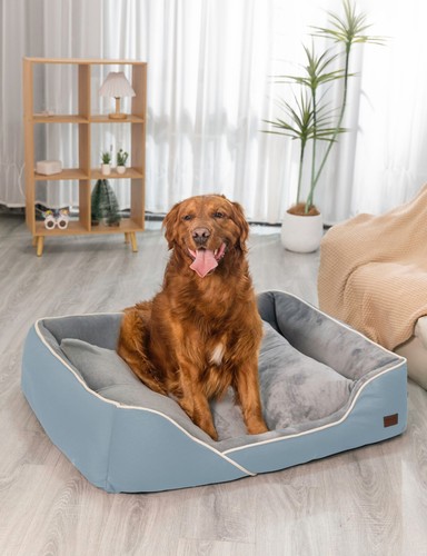 Cuccia ortopedica per cani