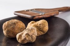 Italian White Truffle Tuber