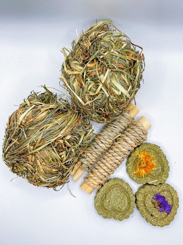Giocattolo masticare - giocattolo,