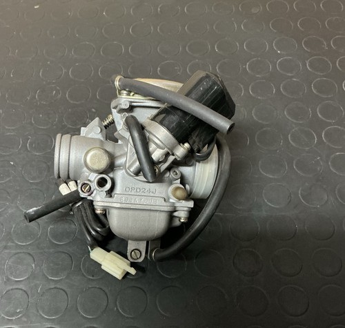 Carburatore deni dpd24j - carburatore,