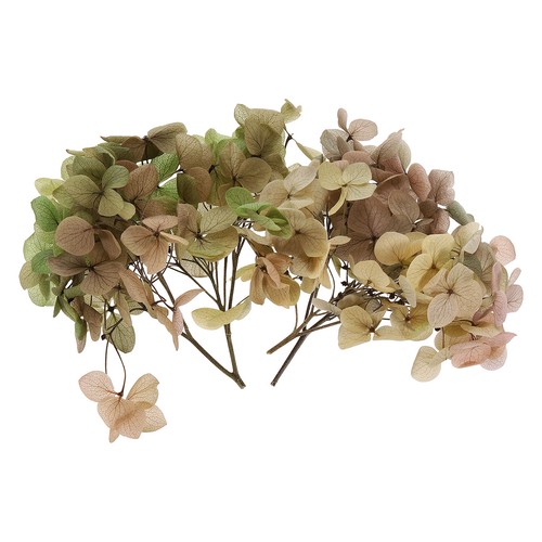 10g mini fiori - mini,