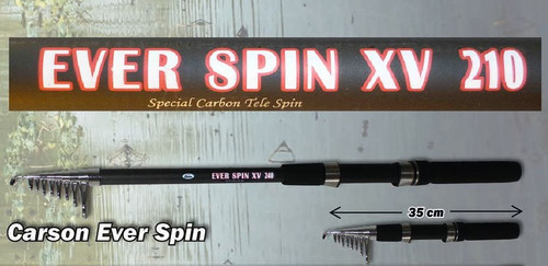 Canna ever spinning - canna,