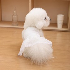 Vestiti Estivi Per Cani